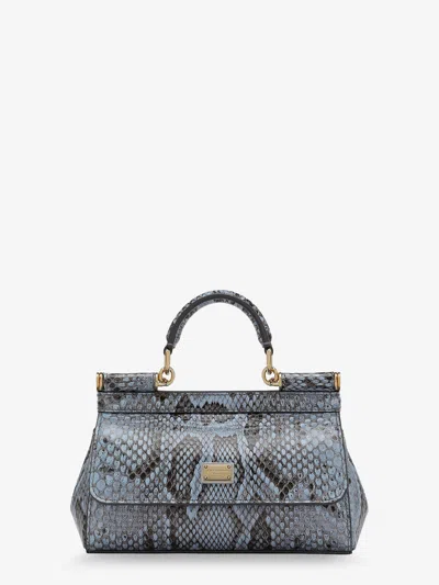 Dolce & Gabbana Carta Zucchero Python Bag In Blue