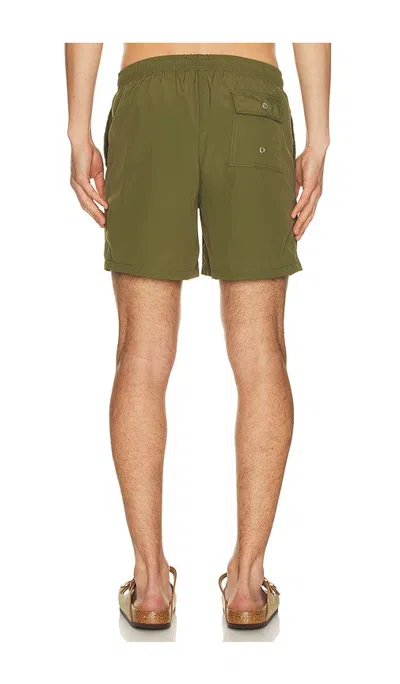 SOLID CLASSIC SWIM TRUNK
