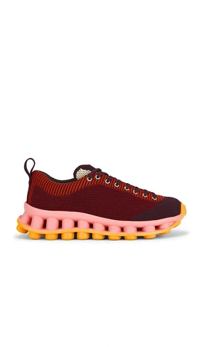 Camper Pelotissima Knitted Deep Burgundy Sneakers In Red