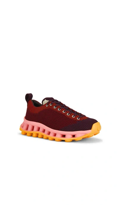 Camper Pelotissima Knitted Deep Burgundy Sneakers In Red