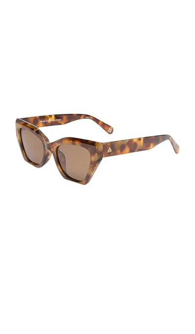 Aire Persei Sunglasses In Brown