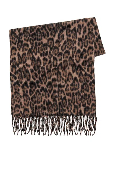 Hat Attack Leopard Scarf In Brown