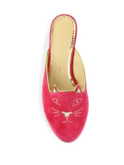 Shop Charlotte Olympia Kitty Velvet Mules In Magenta