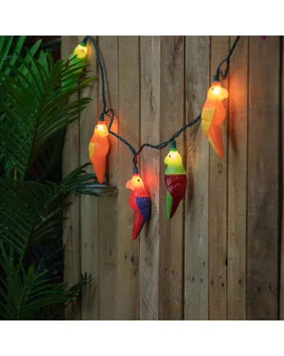 Northlight Parrot Patio Light Set In Multi