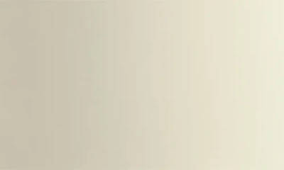 Dash 2-quart Ice Cream Maker In White