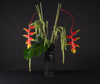 Pulpo Vases Black Uni In Black