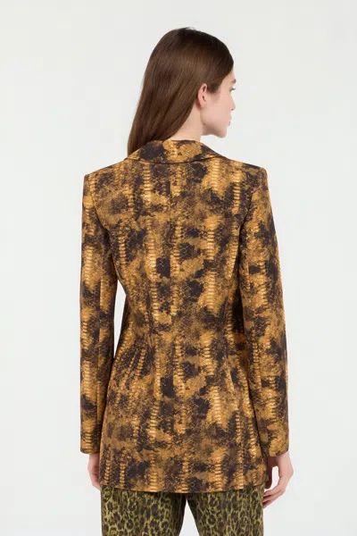 Roberto Cavalli Python Print Jacket In Brown