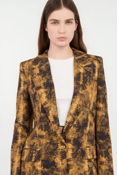 Roberto Cavalli Python Print Jacket In Brown