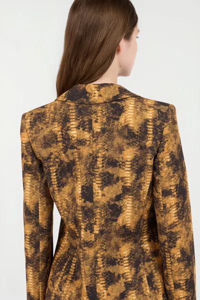 Roberto Cavalli Python Print Jacket In Brown