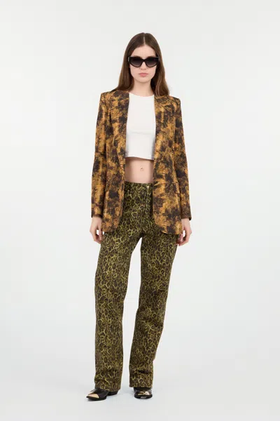 Roberto Cavalli Python Print Jacket In Brown