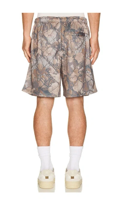 Obey Stanton Mesh Shorts In Multi