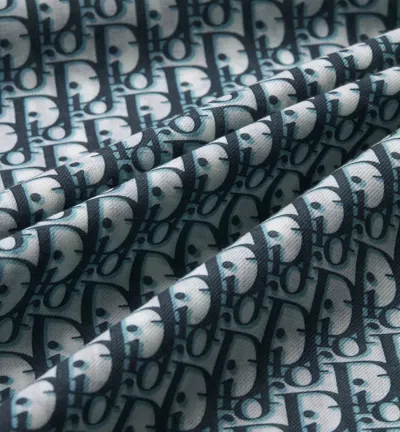 Dior Rectangular Scarf Long Cut Fringed Edges In Blue