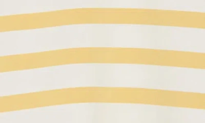 Dr2 By Daniel Rainn Stripe Cap Sleeve Top In Multi