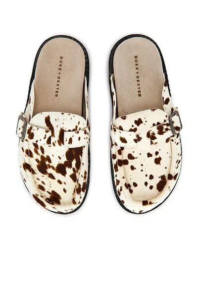 Duke + Dexter Winston Brown Cow Mule In Multi
