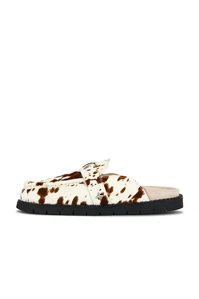 Duke + Dexter Winston Brown Cow Mule In Multi