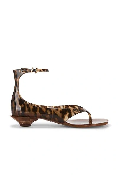 Chloé Brown Jelly Sandal With Animal Print And Flat Sandal In Brown