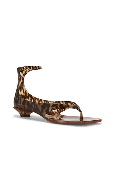 Chloé Brown Jelly Sandal With Animal Print And Flat Sandal In Brown