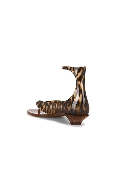 Chloé Brown Jelly Sandal With Animal Print And Flat Sandal In Brown