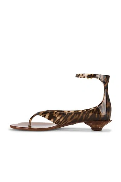 Chloé Brown Jelly Sandal With Animal Print And Flat Sandal In Brown
