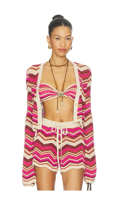 Devon Windsor Stella Cardigan In Multi