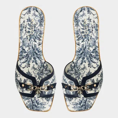 Aldo Alamassi In Multi