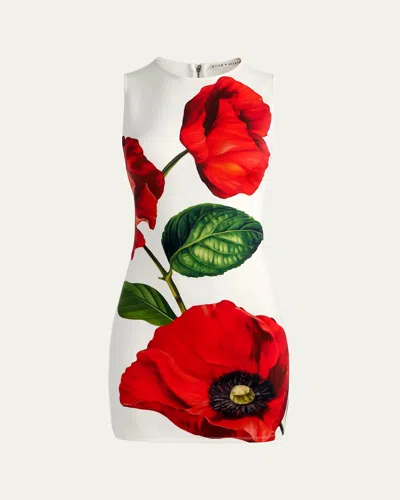 Alice And Olivia Wynell Fitted Mini Dress Summer Poppy In Black