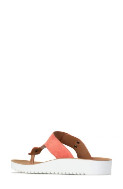 Los Cabos Nine Thong Sandal In Orange