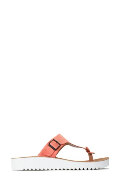 Los Cabos Nine Thong Sandal In Orange