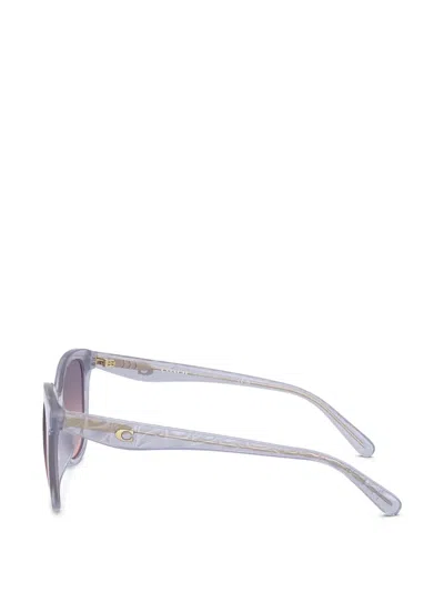 Coach Gradient Cat-eye Sunglasses In Blue