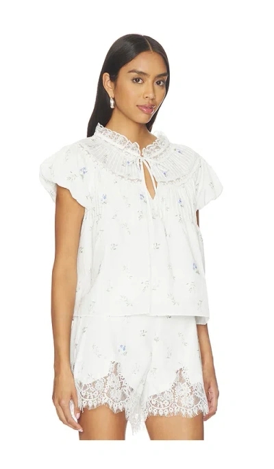 Line & Dot Corelia Top In Multi