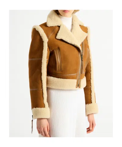 Balmain Shearling Biker Jacket In Brown