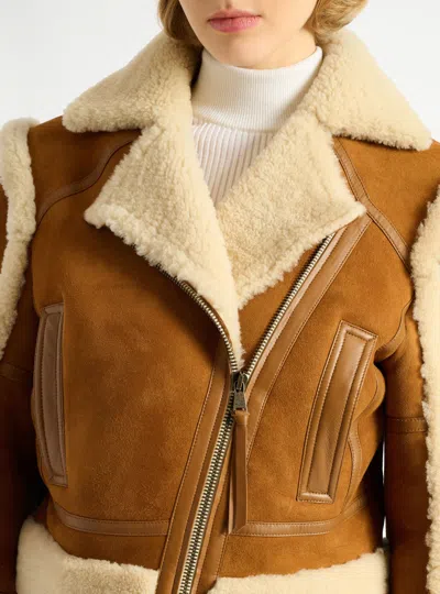 Balmain Shearling Biker Jacket In Brown