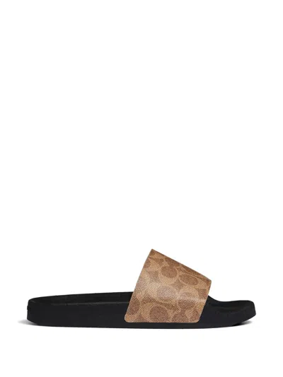 Coach Udele Sport Slide In Signature Canvas In Sand