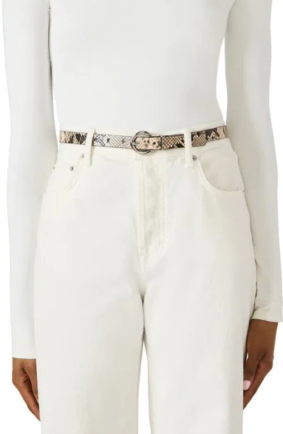 Steve Madden Assorted 3-pack Buckle Belts In Multi