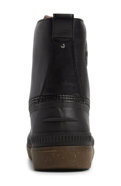 Sperry Ice Chukka Boot In Black