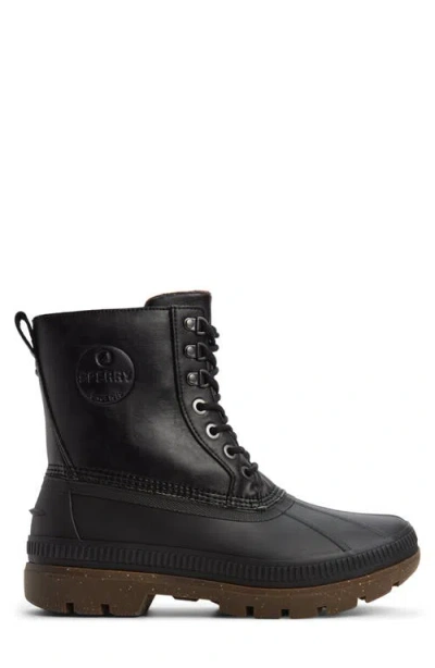 Sperry Ice Chukka Boot In Black