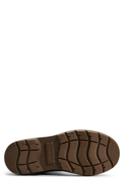 Sperry Ice Chukka Boot In Black