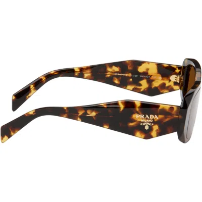 Prada Brown Rounded Rectangle Acetate Sunglasses In Brown