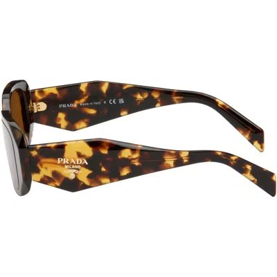 Prada Brown Rounded Rectangle Acetate Sunglasses In Brown