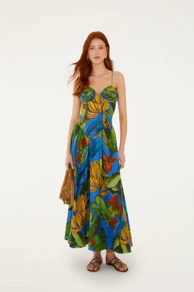 Farm Rio Blue Banana Grapes 3d Bodice Sleeveless Maxi Dress In Multi