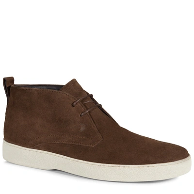 Tod's Suede Ankle Boots In Brown