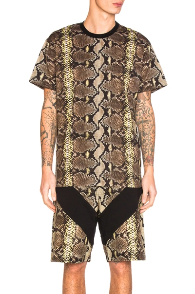 Shop Givenchy Python Print Tee In Animal Print,yellow,brown. In Natural