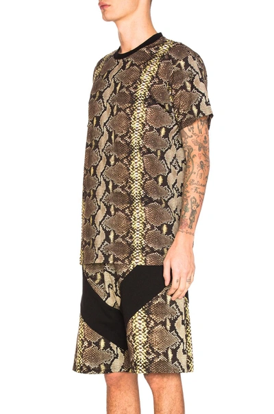 Shop Givenchy Python Print Tee In Animal Print,yellow,brown. In Natural