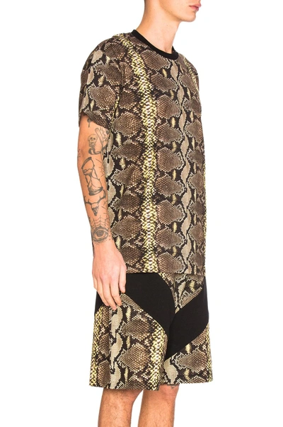 Shop Givenchy Python Print Tee In Animal Print,yellow,brown. In Natural
