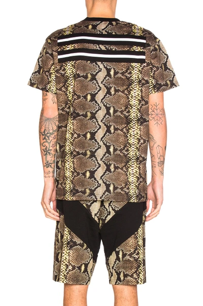 Shop Givenchy Python Print Tee In Animal Print,yellow,brown. In Natural