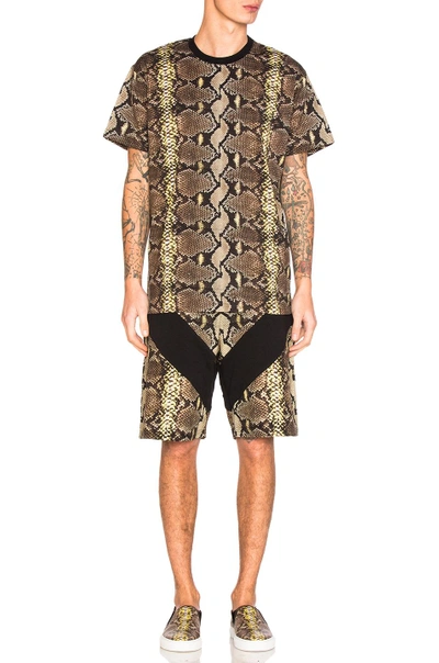 Shop Givenchy Python Print Tee In Animal Print,yellow,brown. In Natural