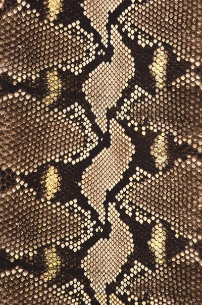 Shop Givenchy Python Print Tee In Animal Print,yellow,brown. In Natural