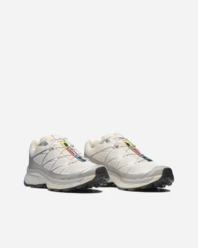 Salomon Xt-6 | Grey | Size: In Multi
