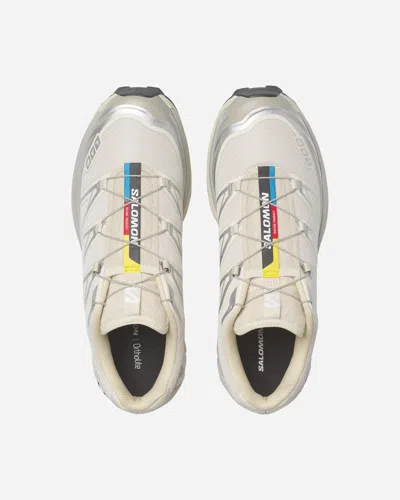 Salomon Xt-6 | Grey | Size: In Multi
