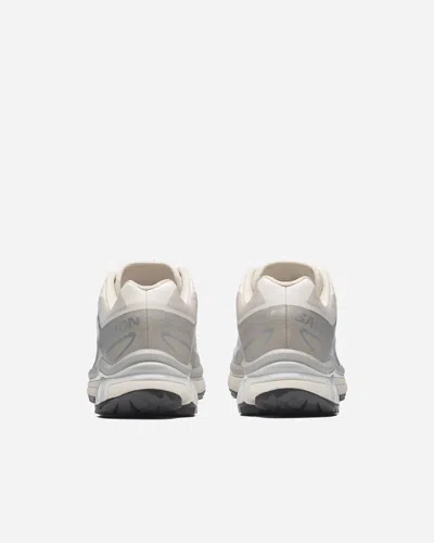 Salomon Xt-6 | Grey | Size: In Multi